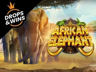 African Elephant game icon