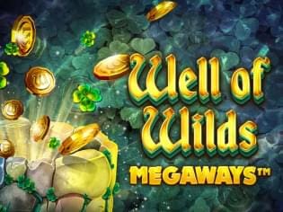 Well of Wilds MegaWays game icon